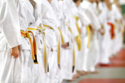 Avon, St Cloud, Albany, St Joseph, Holdingford,  MN. Martial Arts Studio Insurance