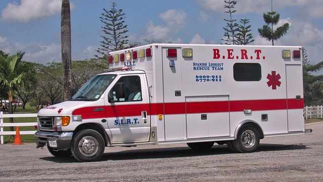 Bodily Injury Liability