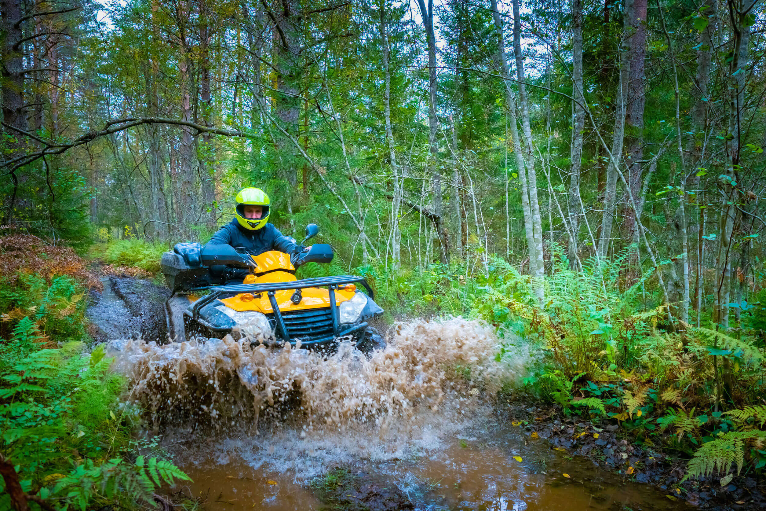 Avon, St Cloud, Albany, St Joseph, Holdingford,  MN. ATV Insurance.1