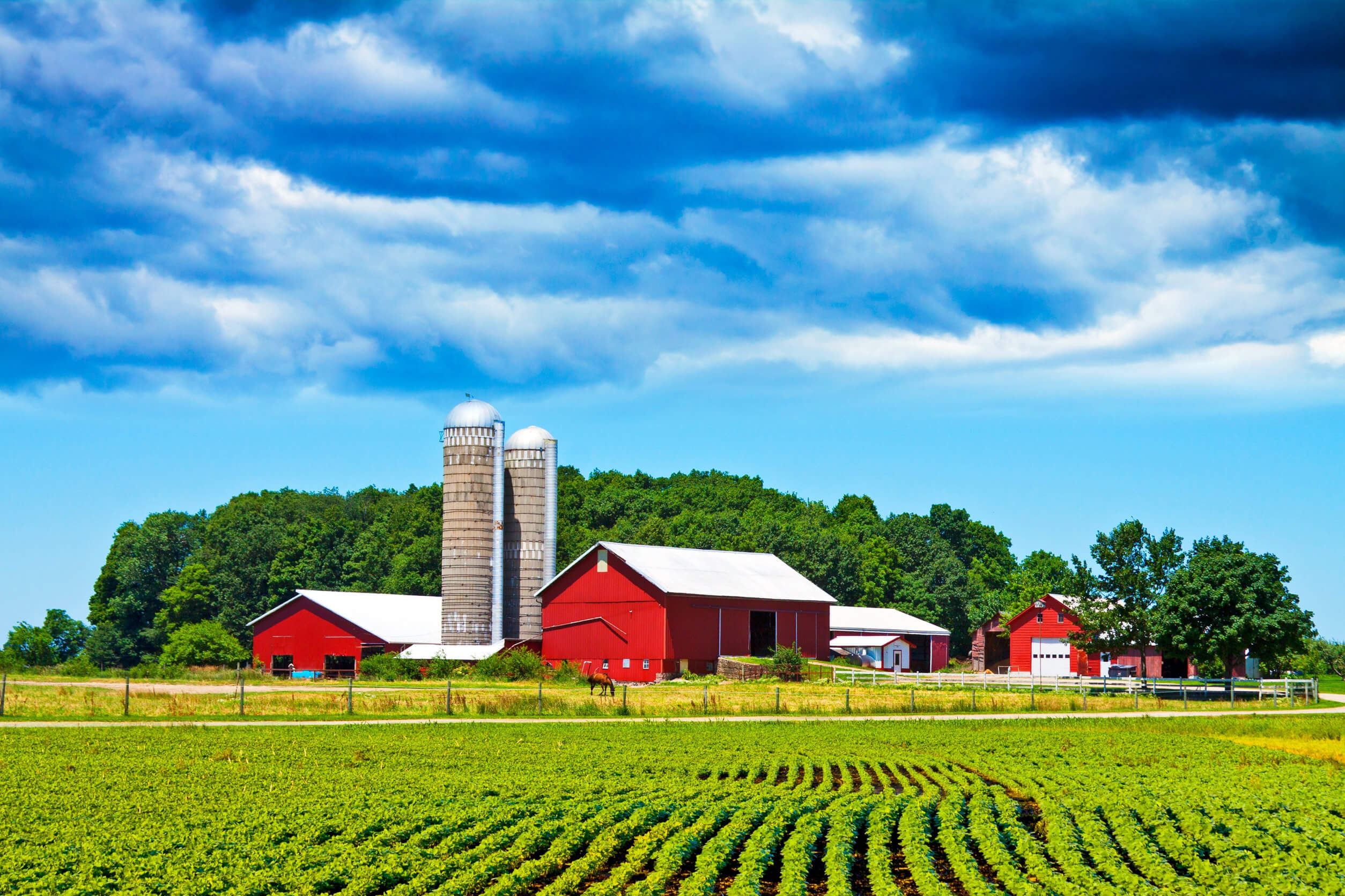 Avon, St Cloud, Albany, St Joseph, Holdingford,  MN. Farm Structures Insurance