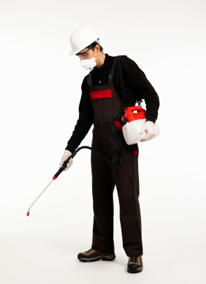 Avon, St Cloud, Albany, St Joseph, Holdingford,  MN. Exterminator/Pest Control Insurance